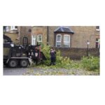 Tree Surgeons Essex