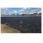 Wildfires break out in London amid scorching temperatures