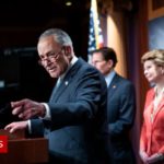 US Democrats' bid for federal abortion law fails in the Senate