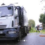 Tree Surgeons Southend