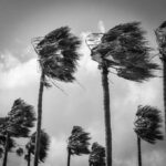 Impact Windows Clearwater FL