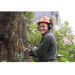 Tree Surgeons Brentwood