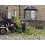 Tree Surgeons Enfield