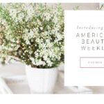 American Beauty Weekly- Experts Views On Fashion, Beauty & Shopping Trends