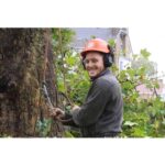 Tree Surgeons South London