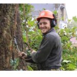 Tree Surgeons Brentwood