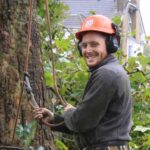 Tree Surgeons Dulwich