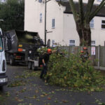 Tree Surgeons Essex